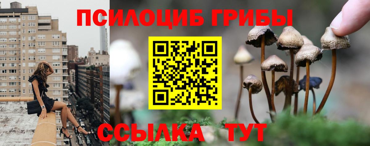 Галлюциногенные грибы Magic Shrooms  Вход с VPN  Псилоцибиновые грибы мицелий  Сланцы 