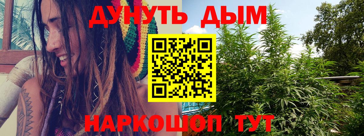 Конопля White Widow Сланцы